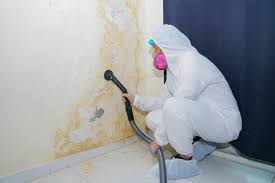 Harrogate, TN Mold Removal Services Company